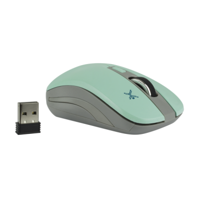 MOUSE