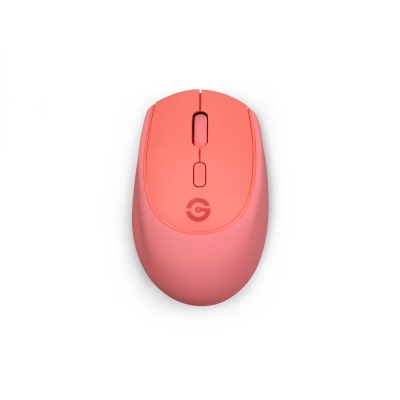 MOUSE