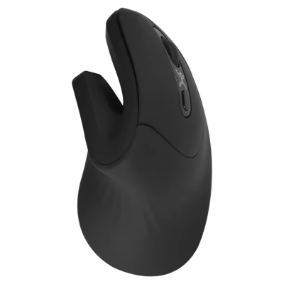 MOUSE