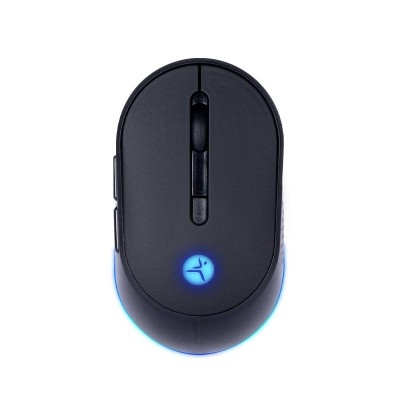 MOUSE