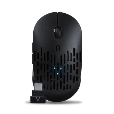 MOUSE