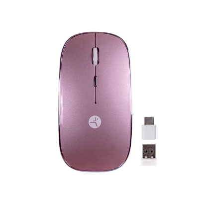 MOUSE