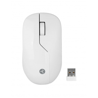 MOUSE